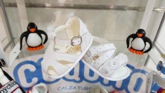 baby chick_5